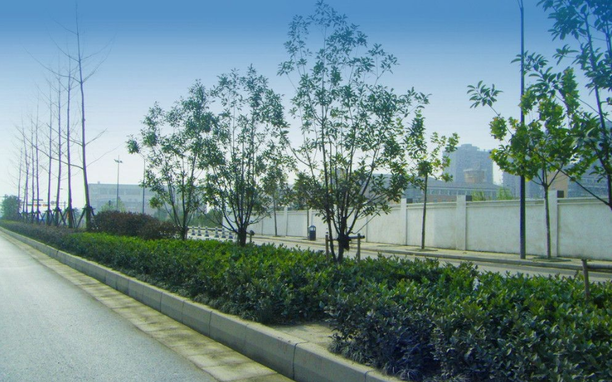 道路自清潔涂料的發(fā)展趨勢(shì)